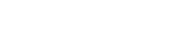 News Report — The Yiddish Newspaper of Record